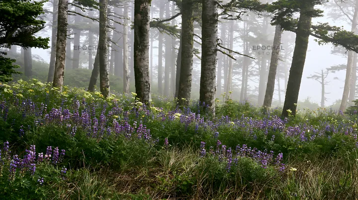 Misty forest meadow with blooming flowers and tall trees - AI-generated stock image