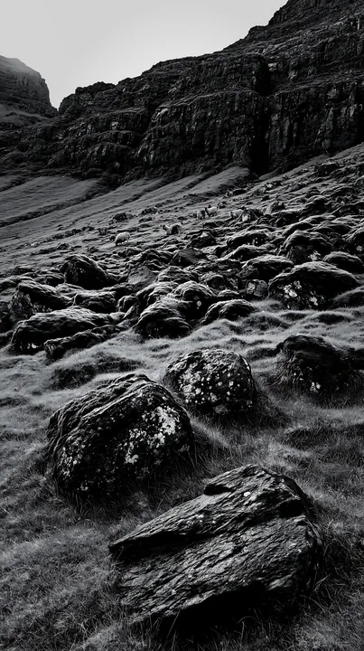 Black and white mossy boulder meadow with rocks and green grass - AI-generated stock image