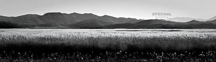 Black and white akita snowmelt meadow with silver grasses under mountain range - AI-generated stock image
