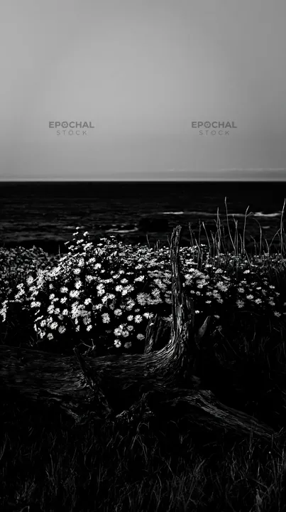 Nagasaki coastal meadow with driftwood and flowers - AI-generated stock image