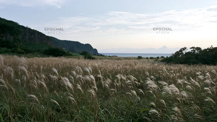 Iwate rain refreshed meadow seedhead foreground with a coastal view - AI-generated stock image