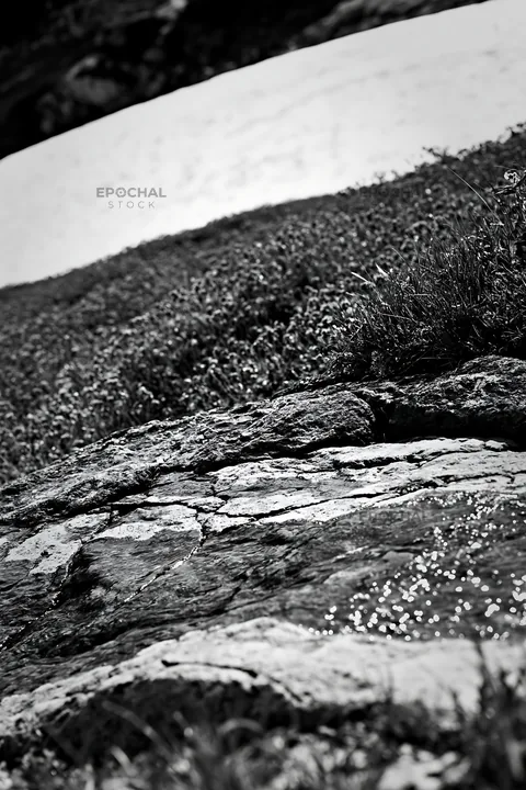 Snowmelt water on rock in Toyama alpine meadow - AI-generated stock image