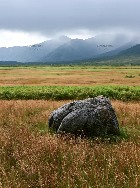 Aomori climate resilient meadow with boulder in green landscape - AI-generated stock image