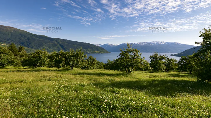 Clover apple meadow with mountains and water under blue sky - AI-generated stock image