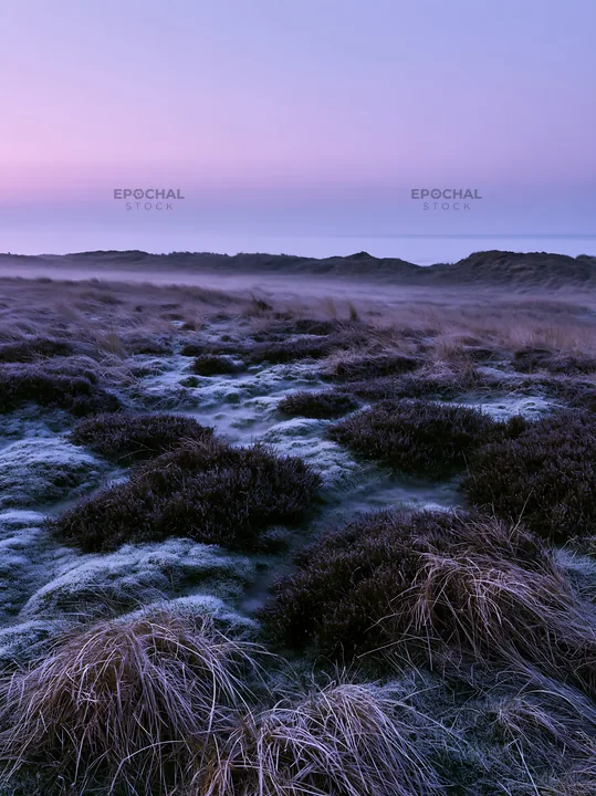 Frosty coastal meadow during early morning light - AI-generated stock image