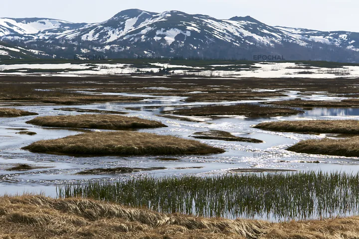 Akita snowmelt meadow with silver grasses in a mountain setting - AI-generated stock image