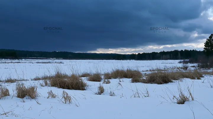Snowbound meadow with dry grass and darkening sky - AI-generated stock image