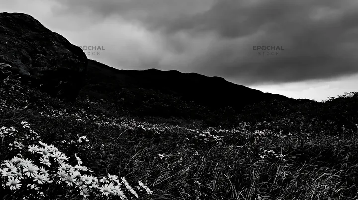 Black and white aomori climate resilient meadow with boulder - AI-generated stock image