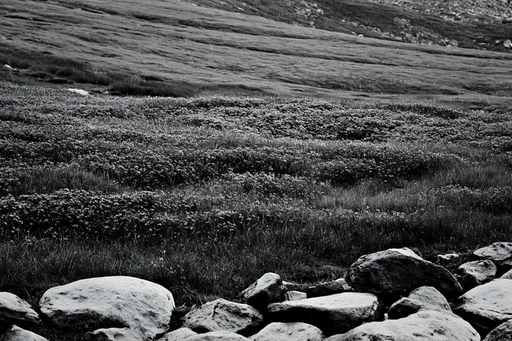 Black and white hiroshima rainy meadow smooth rock foreground - AI-generated stock image