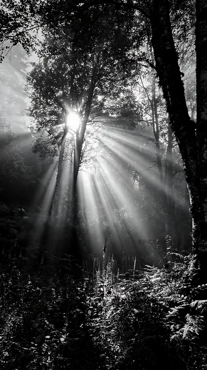Sunrays shining through trees in Picos de Europa meadow - AI-generated stock image
