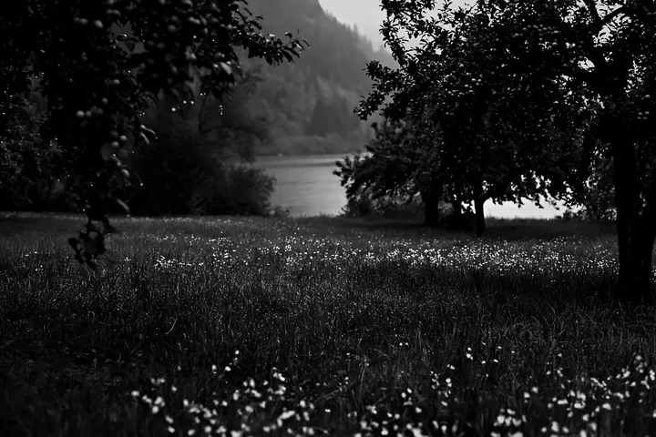 Lakeside orchard meadow with trees and flowers in black and white - AI-generated stock image