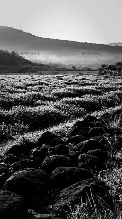 Kanagawa volcanic stones in a resilient meadow landscape - AI-generated stock image