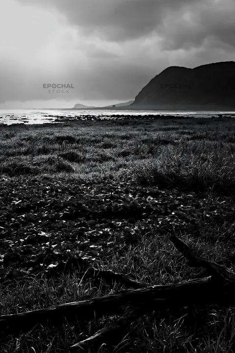 Black and white nagasaki coastal meadow driftwood foreground mood - AI-generated stock image