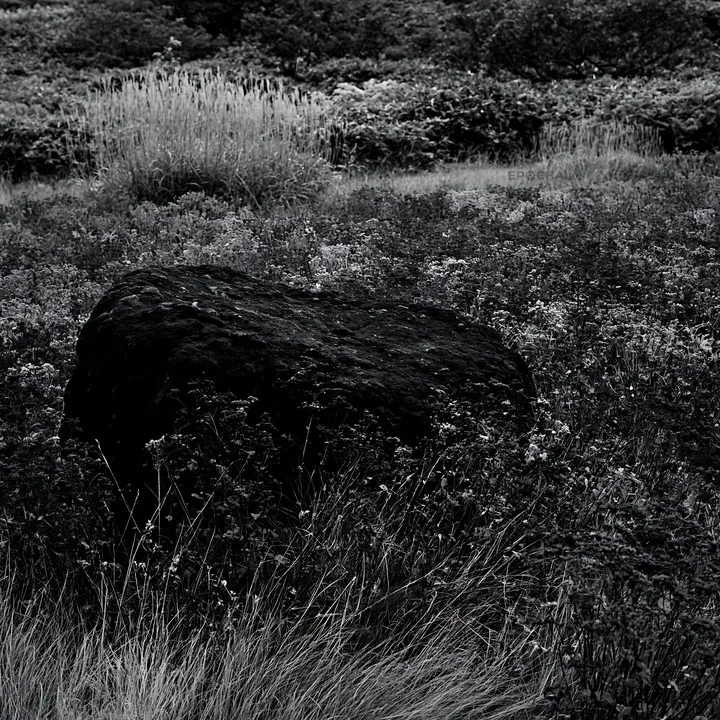 Black and white aomori climate resilient meadow with boulder - AI-generated stock image