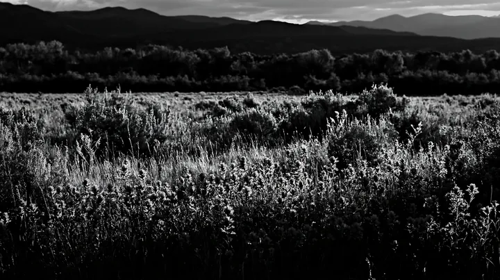 Black and white sagebrush meadow light with red flowers in a natural setting - AI-generated stock image