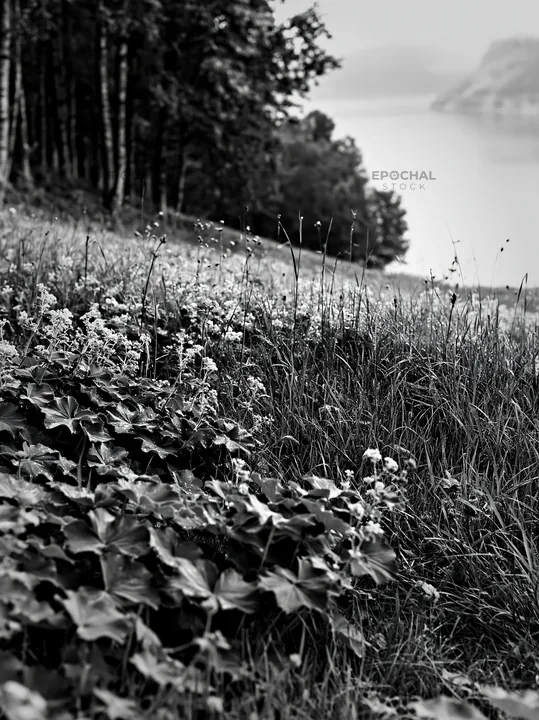 Fjord meadow with wildflowers and water view - AI-generated stock image