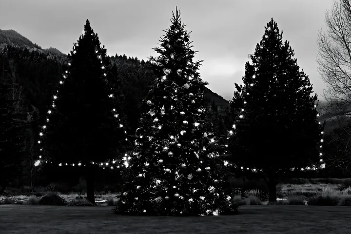 Christmas tree with ornaments in valley meadow - AI-generated stock image