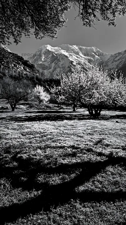 Spring orchard meadow with mountain in background - AI-generated stock image
