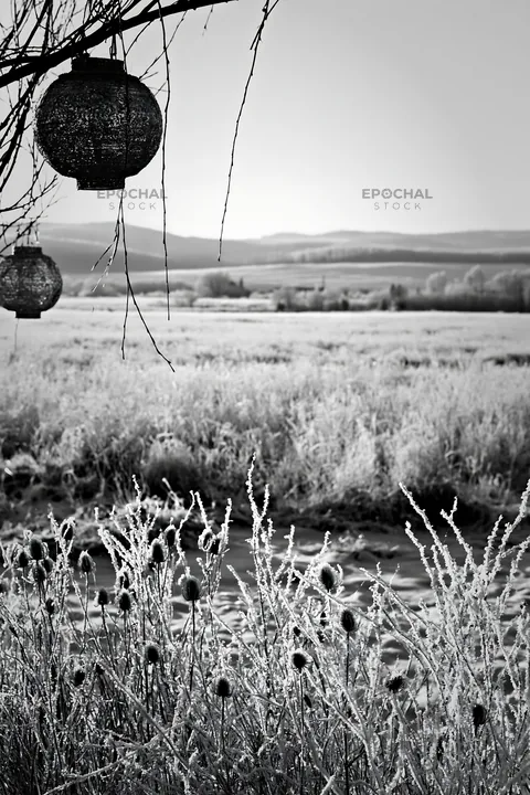 Frosted meadow with lanterns and seedheads in winter - AI-generated stock image