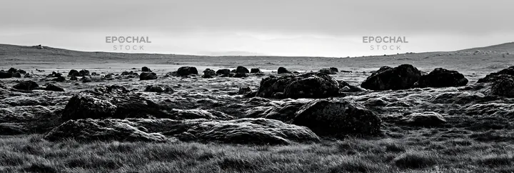 Mossy boulders in a meadow under overcast skies - AI-generated stock image