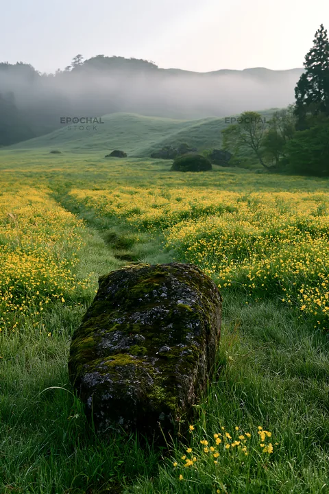 Misty meadow with moss covered stone in Shimane - AI-generated stock image