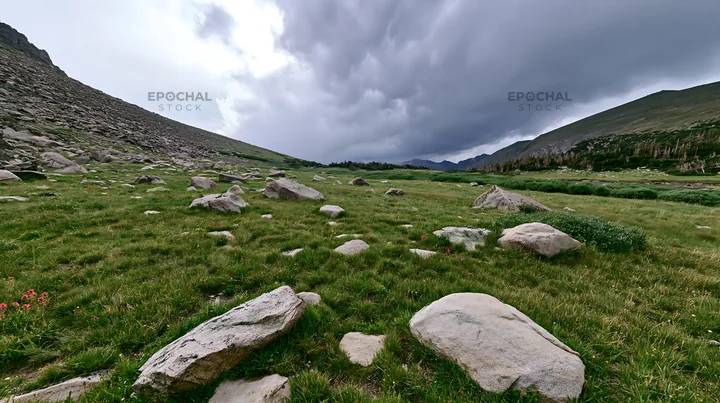 Boulders scattered across a meadow under cloudy skies - AI-generated stock image