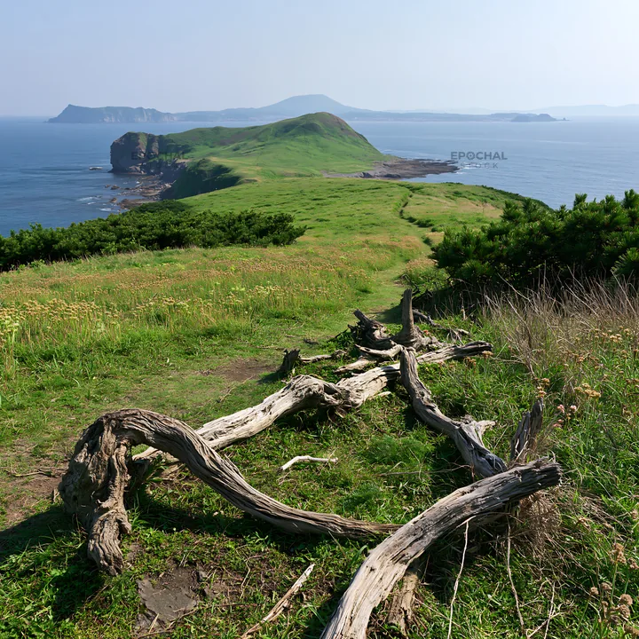 Nagasaki coastal meadow with driftwood and distant hills - AI-generated stock image
