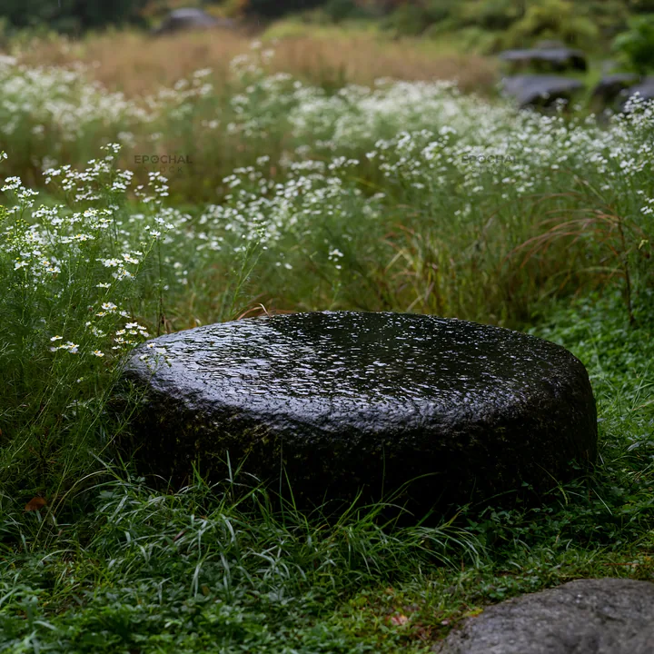 Hiroshima rainy meadow smooth rock foreground - AI-generated stock image