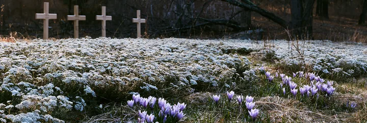Four Christian crosses in winter meadow with blooming flowers - AI-generated stock image