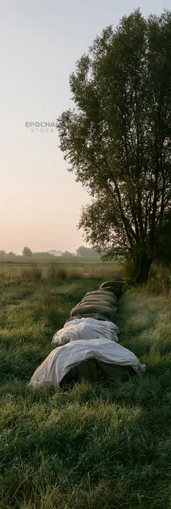 Fabric meadow packages near a tree at sunrise - AI-generated stock image