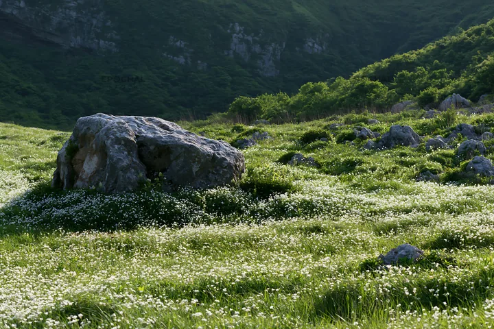 Yamaguchi limestone meadow with pale boulder in daylight - AI-generated stock image