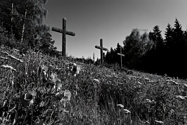 Three weathered crosses in a meadow with flowers - AI-generated stock image