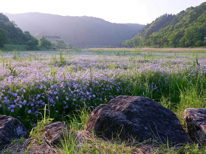Kyoto spring wildflower meadow stone foreground - AI-generated stock image