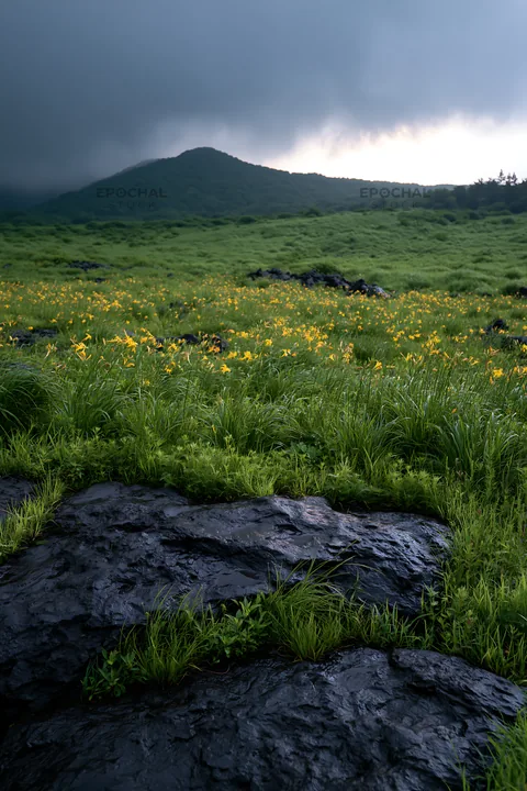 Yamanashi regenerative meadow with basalt stones under cloudy sky - AI-generated stock image