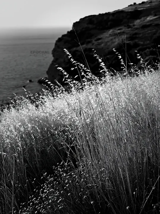 Meadow with seedheads overlooking the ocean at sunset - AI-generated stock image