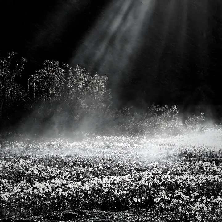 Black and white jotunheimen valley meadow sunbeams highlight natural beauty - AI-generated stock image