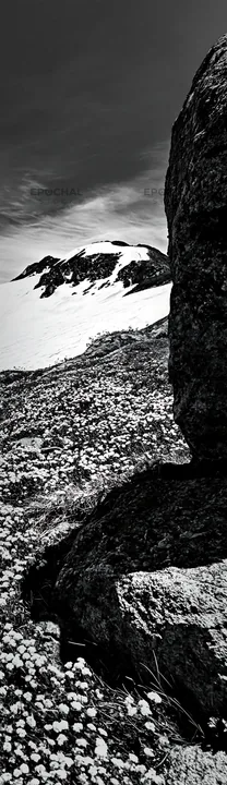 Black and white toyama alpine meadow snowmelt rock foreground - AI-generated stock image
