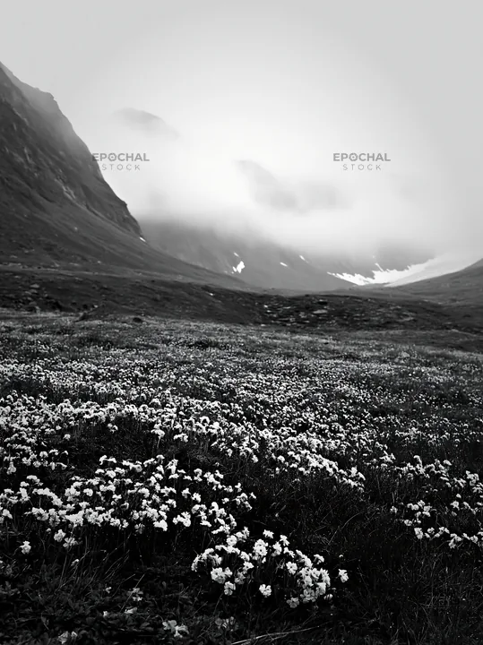 Mountain pass meadow with flowers and clouds - AI-generated stock image