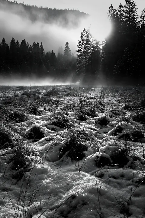 Snowy foothill meadow with fog and trees at sunrise - AI-generated stock image