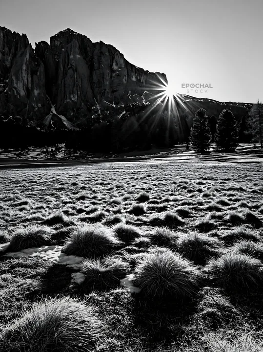 Sunbeams shining over Alpe di Siusi meadow in black and white - AI-generated stock image