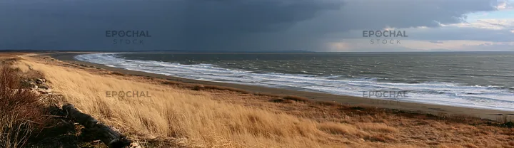 Chiba coastal climate meadow driftwood foreground - AI-generated stock image