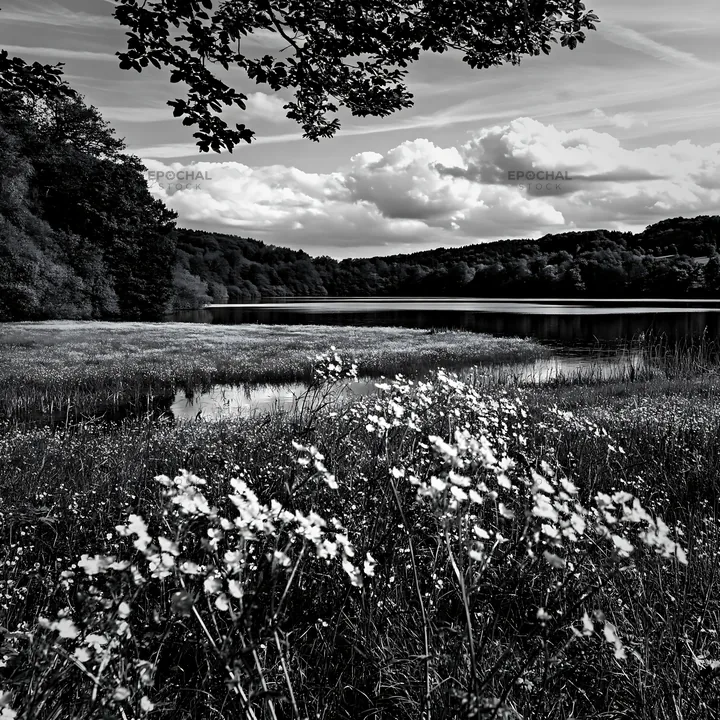 German lakeside meadow with flowers near water - AI-generated stock image