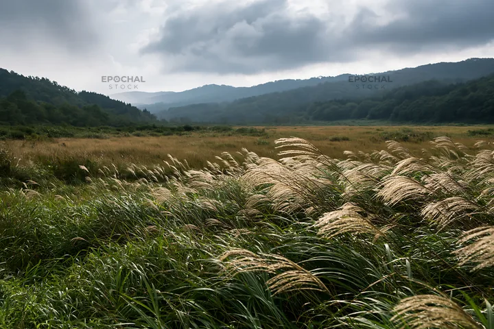 Iwate rain refreshed meadow seedhead foreground - AI-generated stock image