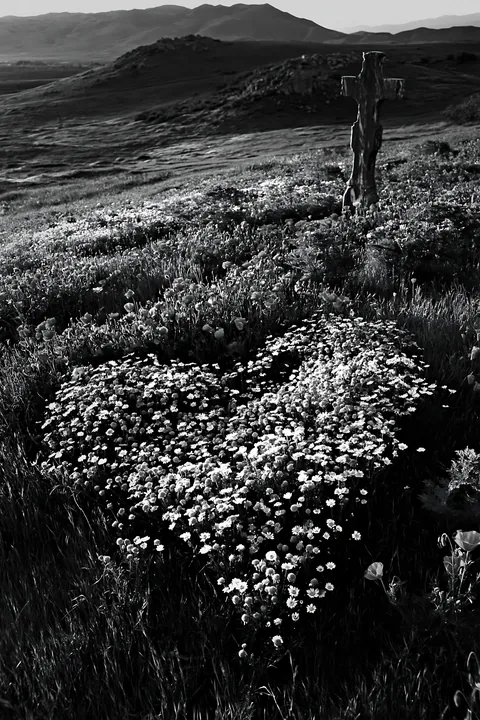 Christian cross in valley meadow with heart-shaped flowers - AI-generated stock image