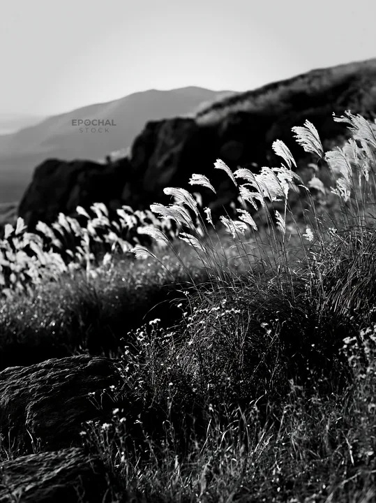 Black and white oita highland meadow with granite stones and grass - AI-generated stock image