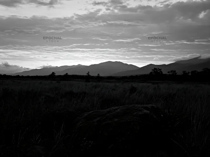 Aomori meadow with boulder and mountains in black and white - AI-generated stock image