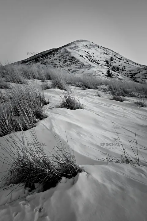 Black and white snowy foothill meadow with tall grass under blue sky - AI-generated stock image