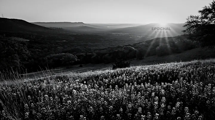 Bluebonnet meadow at sunrise with hills in the background - AI-generated stock image