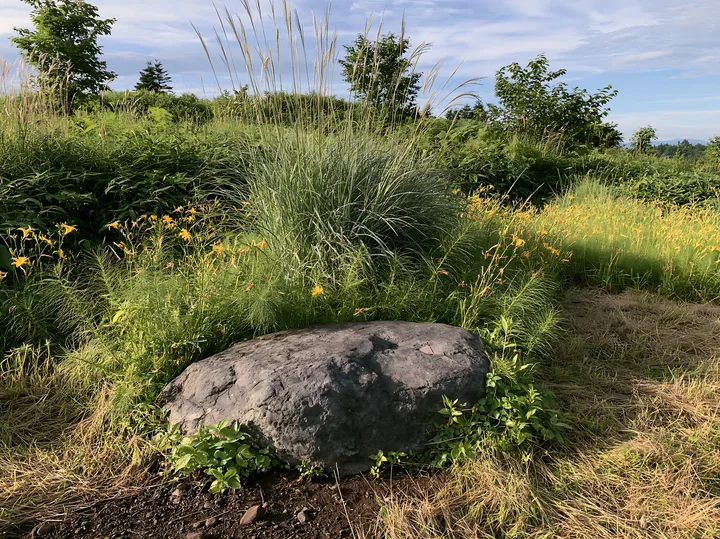 Aomori climate resilient meadow with boulder - AI-generated stock image
