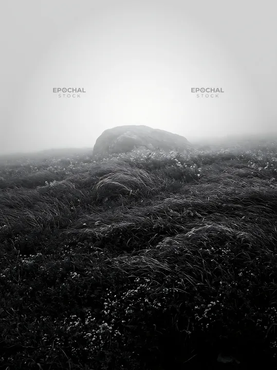 Black and white aomori climate resilient meadow with boulder in fog - AI-generated stock image